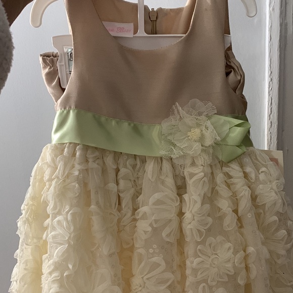 Bonnie Jean Other - NWT Bonnie Jean Baby Girl Fancy Dress - Size 24 Months